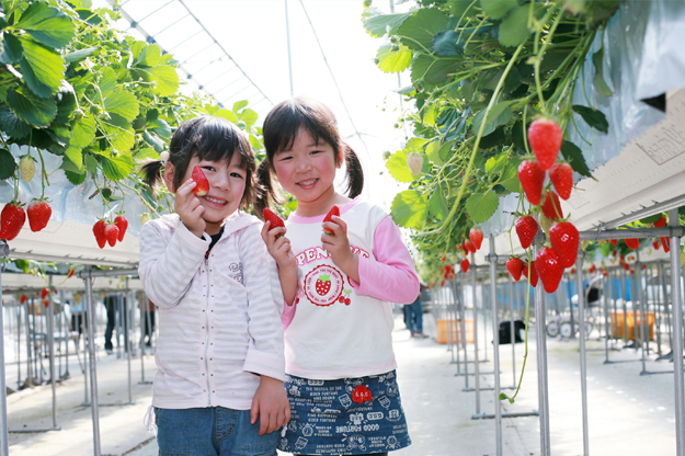 豊かな自然でのびのび子育て！