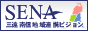 baner_sena-vision88-31.gif