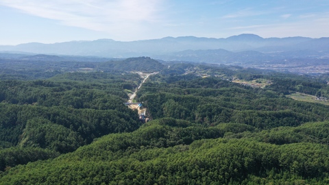 R3.10大入沢から２号橋.JPG