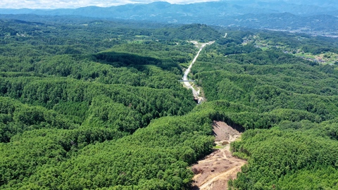 R4.7大入沢から2号橋.JPG