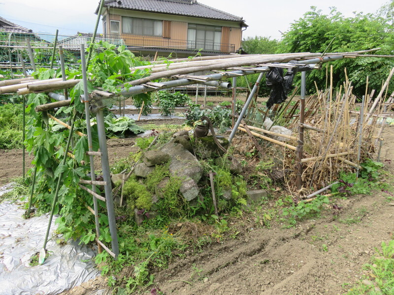 生家跡