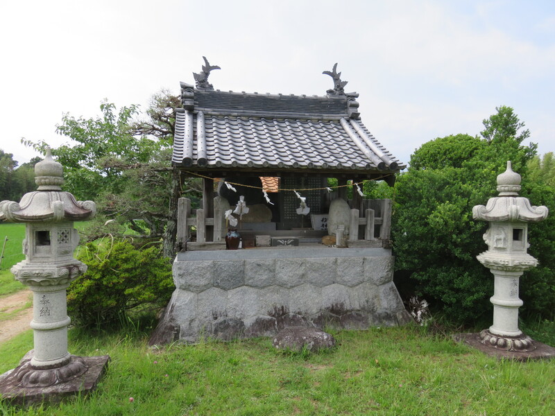 社