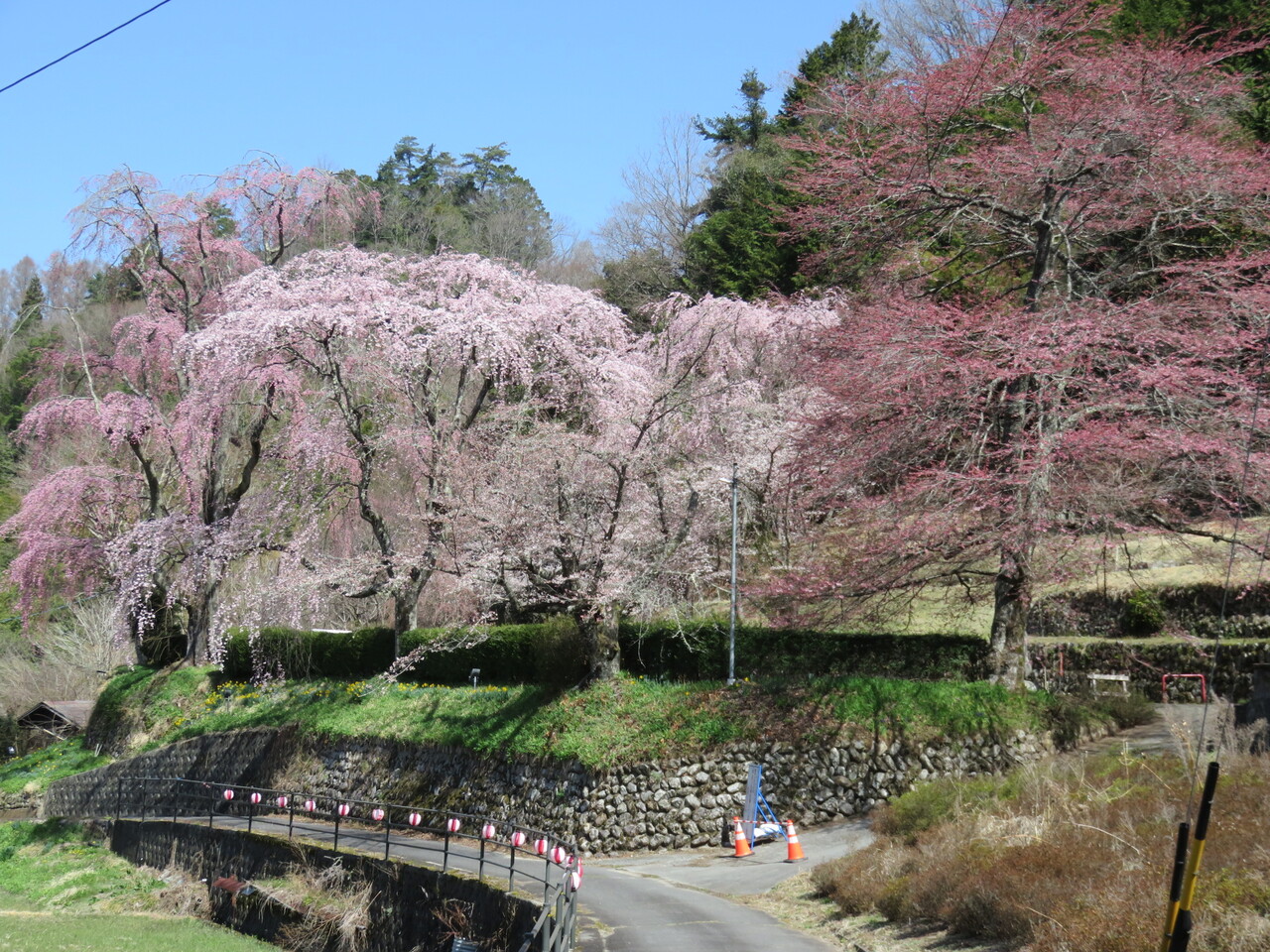遠景