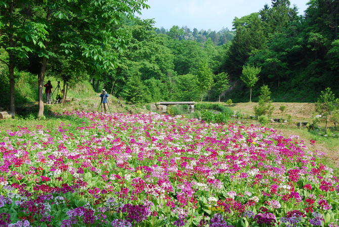 九十九谷森林公園