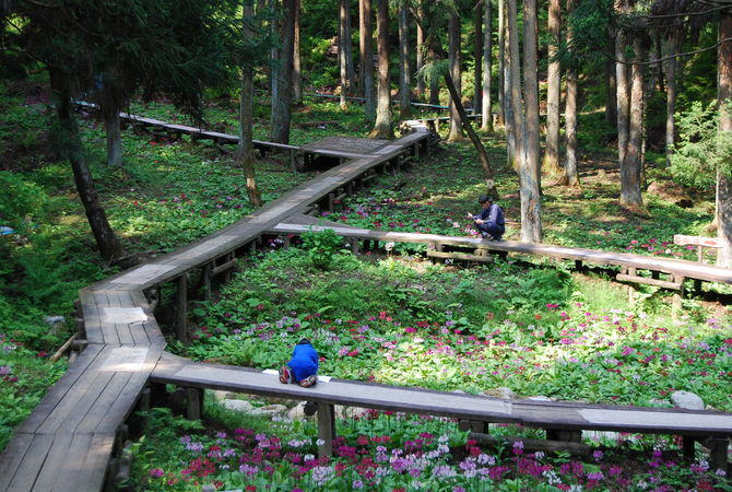 九十九谷森林公園