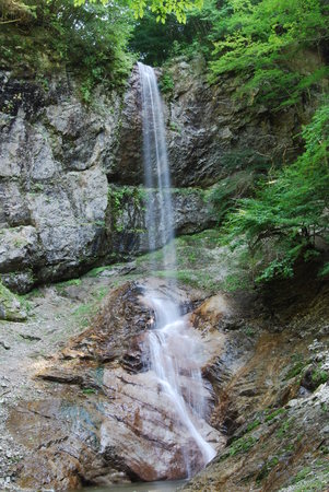 禍誤除けの滝(夏)