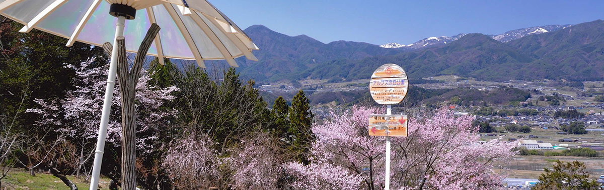 バス停と桜